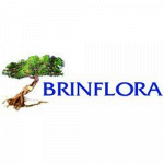 Brinflora Giustizieri Onoranze Funebri - Fioreria
