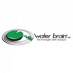Water Brain logo