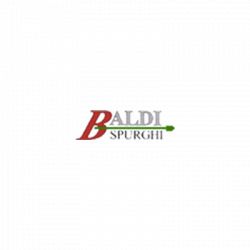Baldi Spurghi - Spurgo Fognature logo
