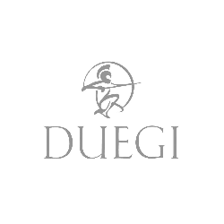 Duegi Serramenti logo