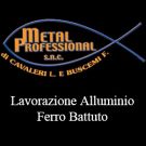 Metal Professional