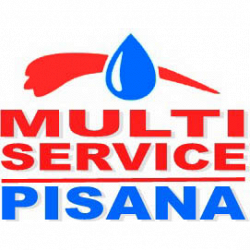 Impresa Multi Service Pisana logo