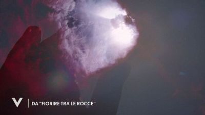 Dal libro "Fiorire tra le rocce"