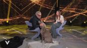 Guillermo Mariotto: "La mia amata cagnolina"
