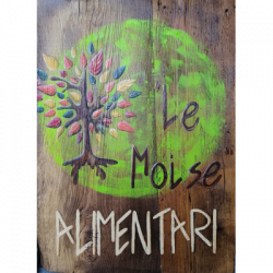 Alimentari Le Moise logo