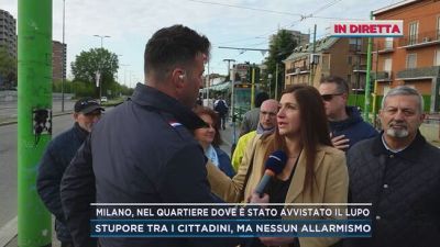Milano, nel quartiere dove è stato avvistato il lupo