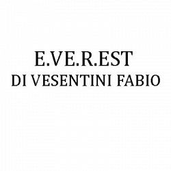 E.Ve.R.Est di Vesentini Fabio logo