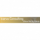 Icarus Consulting