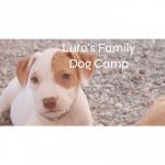 Pensione per Animali Luro'S Family Dog Camp
