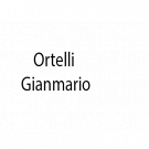 Ortelli Gianmario