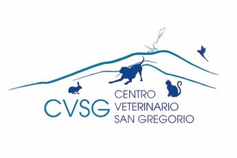 CVSG centro veterinario san Gregorio