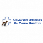 Ambulatorio Veterinario Quattrini Dr. Mauro