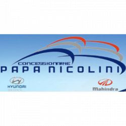 Concessionarie Papa - Nicolini logo