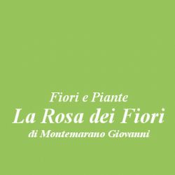 Fiori e Piante La Rosa dei Fiori logo