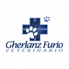 Gherlanz Dott. Furio Medico Veterinario