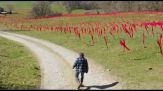 Sul campo di battaglia di Verdun 17mila bandiere rosse per la pace