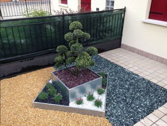 Centro Verde Garden Designer-giardino bonsai