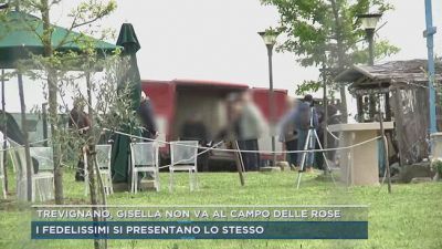 Trevignano, Gisella non va al campo delle rose