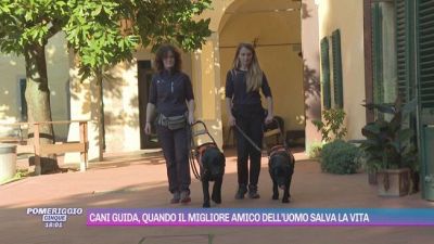 Cani guida, quando il migliore amico dell'uomo salva la vita