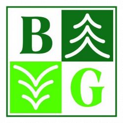 B.G. Tolaini logo