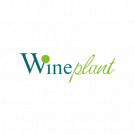 Wineplant