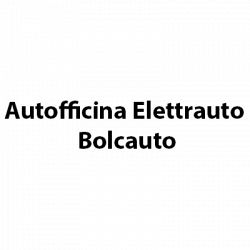 Autofficina Elettrauto Bolcauto logo