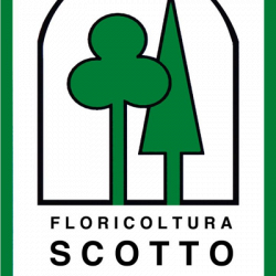 Floricoltura Scotto logo
