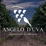 Wine Relais I Dolci Grappoli delle Cantine D'Uva