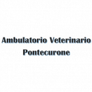 Ambulatorio Veterinario Pontecurone