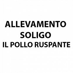 Allevamento Soligo Il Pollo Ruspante logo