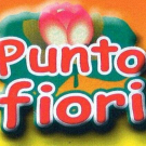 Punto Fiori di di Giovanni Massimo