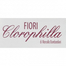 Clorophilla di Marcella Bombardieri