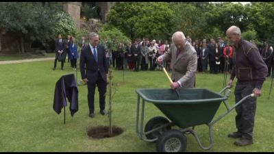 Re Carlo pianta l'albero donatogli da Mattarella a Villa Wolkonsky