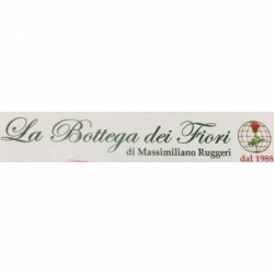 La Bottega dei Fiori dal 1988 logo