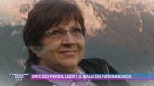 Omicidio Pierina Paganelli, Louis e il giallo del furgone bianco