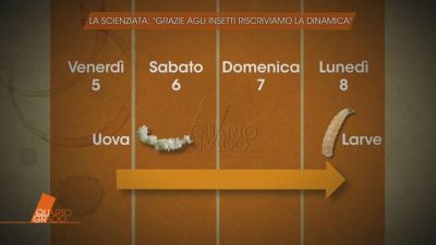 Mostro di Firenze, la scienziata: "Grazie agli insetti riscriviamo la dinamica"
