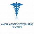 Ambulatorio Veterinario Silvagni