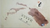 Sull'impronta n.33 scontro tra periti