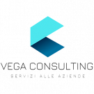 Vega Consulting
