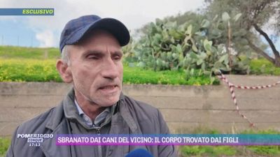Sbranato dai cani dei vicino: il corpo trovato dai figli