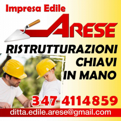 Impresa Edile Arese logo
