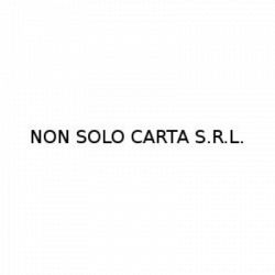 Non Solo Carta logo