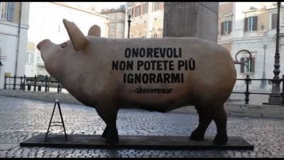 Un maiale a Montecitorio per dire basta agli allevamenti intensivi