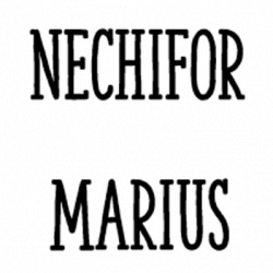 Nechifor Marius logo