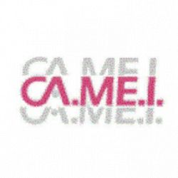 CA.ME.I. logo