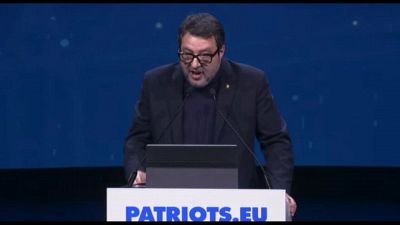Salvini: meno Ue e più libertà, Scholz vada in Groenlandia