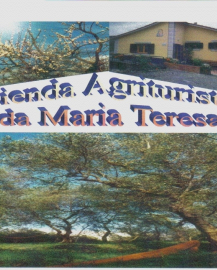 Azienda Agrituristica da Maria Teresa