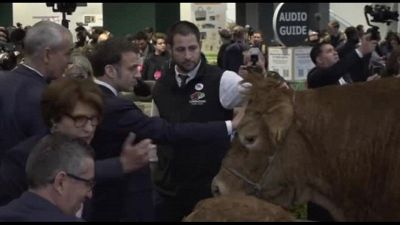 A Salone Agricoltura Macron saluta la mascotte, la mucca Oupette