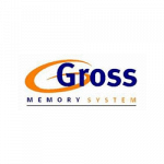 Gross Memory System Sas
