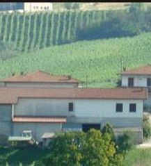 Azienda Agricola Maggi Francesco